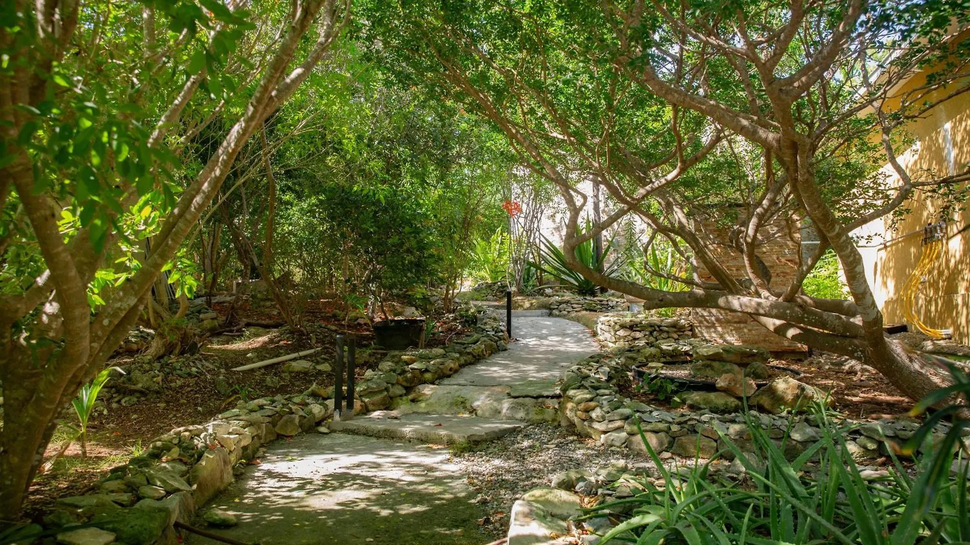 Kokomo Botanical Resort - Caribbean Family Cottages Turtle Cove