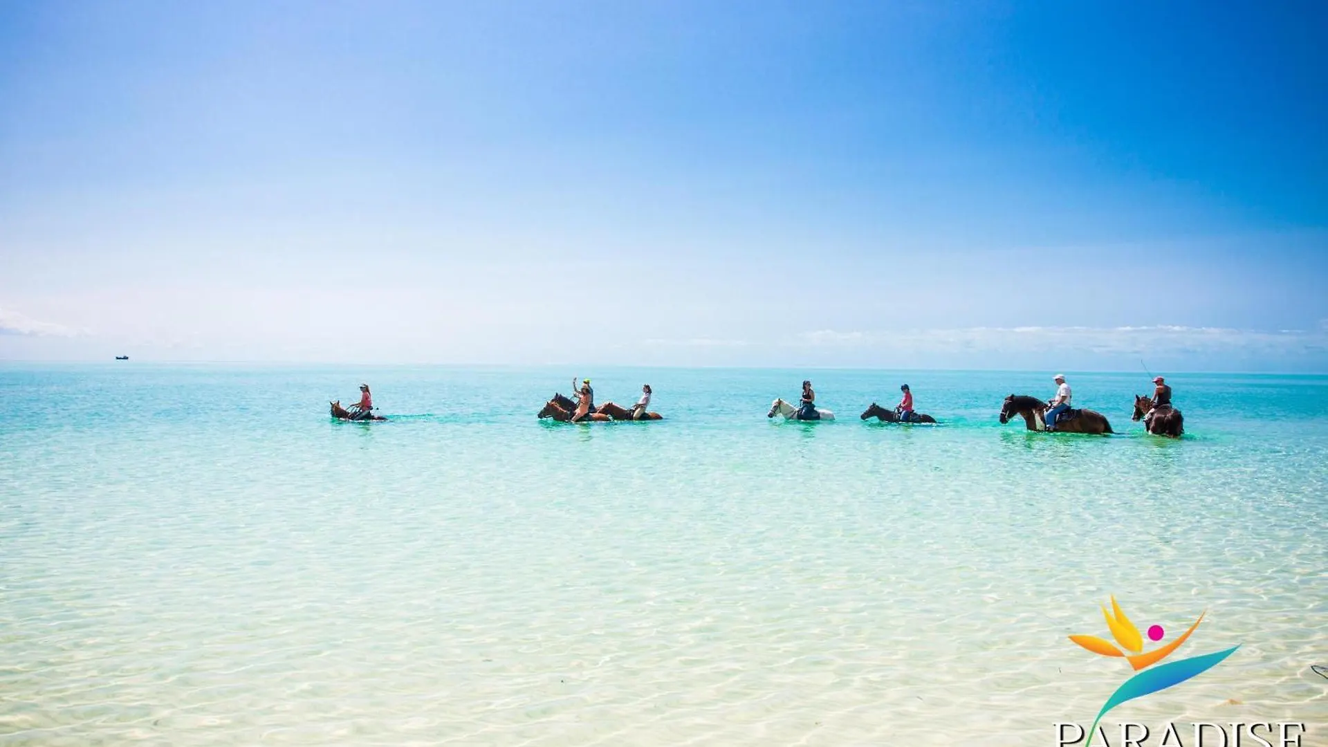 ****  Kokomo Botanical Resort - Caribbean Family Cottages Turtle Cove Turks And Caicos Islands